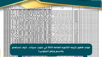 موعد ظهور نتيجة الثانوية العامة 2025 في جنوب سيناء.. كيف تستعلم بالاسم ورقم الجلوس؟